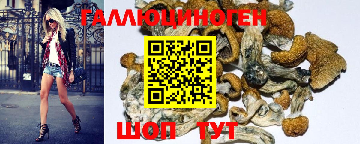Кстово  что такое   Галлюциногенные грибы MAGIC MUSHROOMS  Вход с VPN  Галлюциногенные грибы мухоморы 
