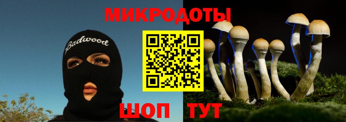 Псилоцибиновые грибы мухоморы Кстово
